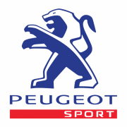 Stickers de toit peugeot sport